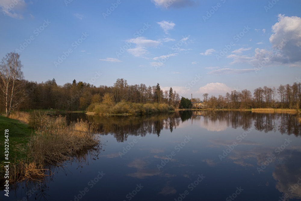 Spring landscape by the pond. Spring landscape by the pond.