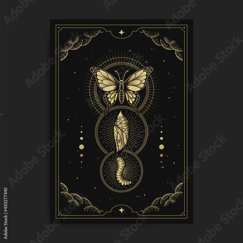 Metamorphosis of butterfly, cocoon, caterpillar with engraving, hand drawn, luxury, celestial, esoteric, boho style, fit for spiritualist, religious, paranormal, tarot reader, astrologer or tattoo photo