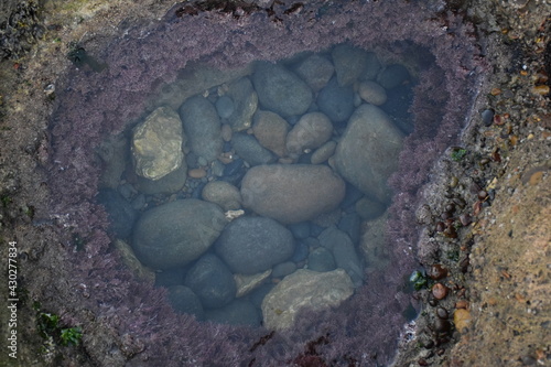 Piedras bajo estanque natural (Patagonia)