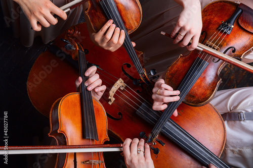 String quartet (violins, cello, alt (viola)), view from above photo