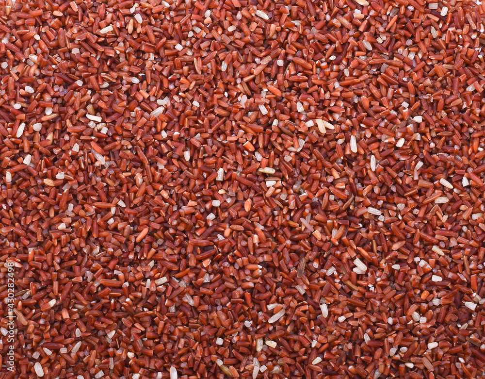 Raw organic riceberry rice in close up Raw organic riceberry rice in close up