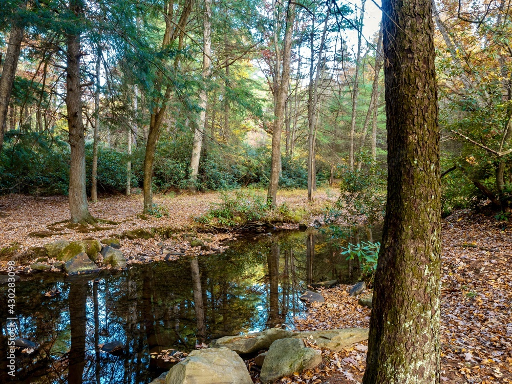 Clear Creek State Park near Clarion, Pennsylvania in the fall with the fallen leaves and fall foliage trees in the woods reflecting in the water and nature Clear Creek State Park near Clarion, Pennsylvania in the fall with the fallen leaves and fall foliage trees in the woods reflecting in the water and nature