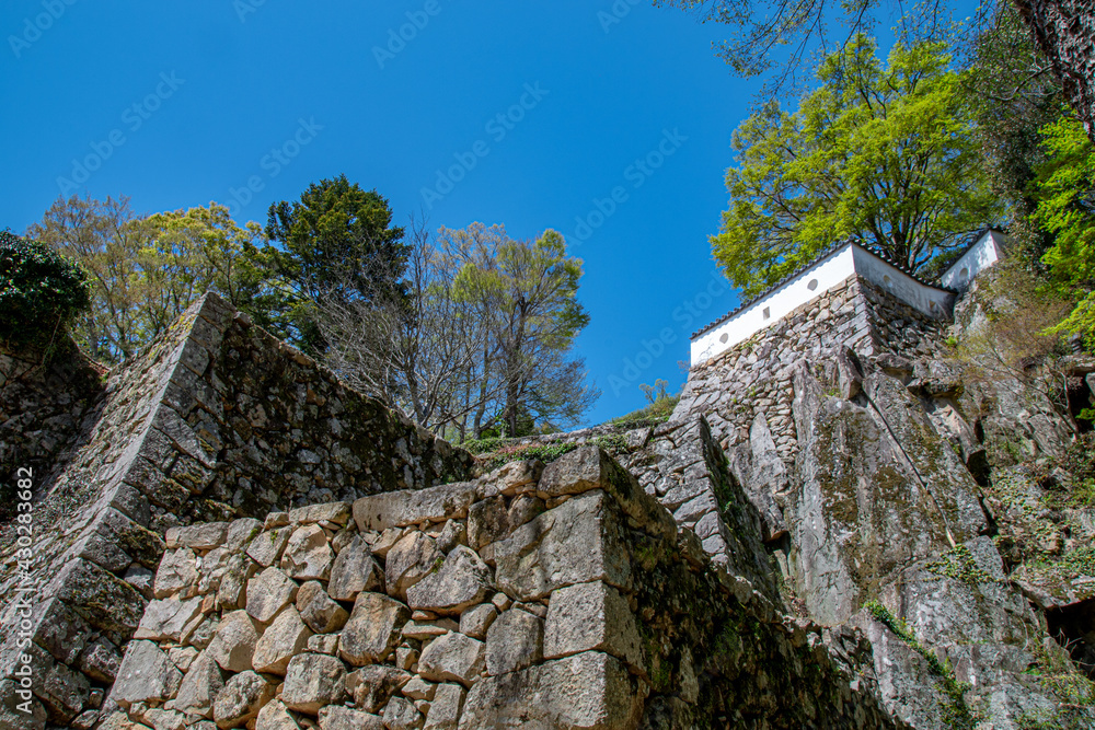 備中松山城 大手門付近より見上げる立派な石垣 岡山県高梁市 The majestic view of stone walls at Bicchu-Matsuyama-jyo, Japanese medieval mountain castle, in Takahashi city, Okayama pref. Japan. 備中松山城 大手門付近より見上げる立派な石垣 岡山県高梁市 The majestic view of stone walls at Bicchu-Matsuyama-jyo, Japanese medieval mountain castle, in Takahashi city, Okayama pref. Japan.