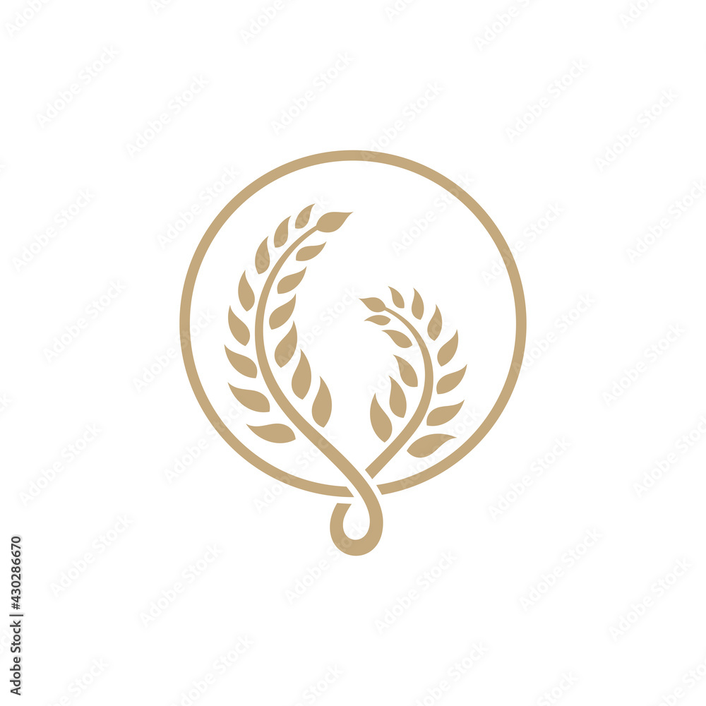 Simple wheat logo template suitable for organic food icon, agriculture, rice product label, foodstuffs, bread and others