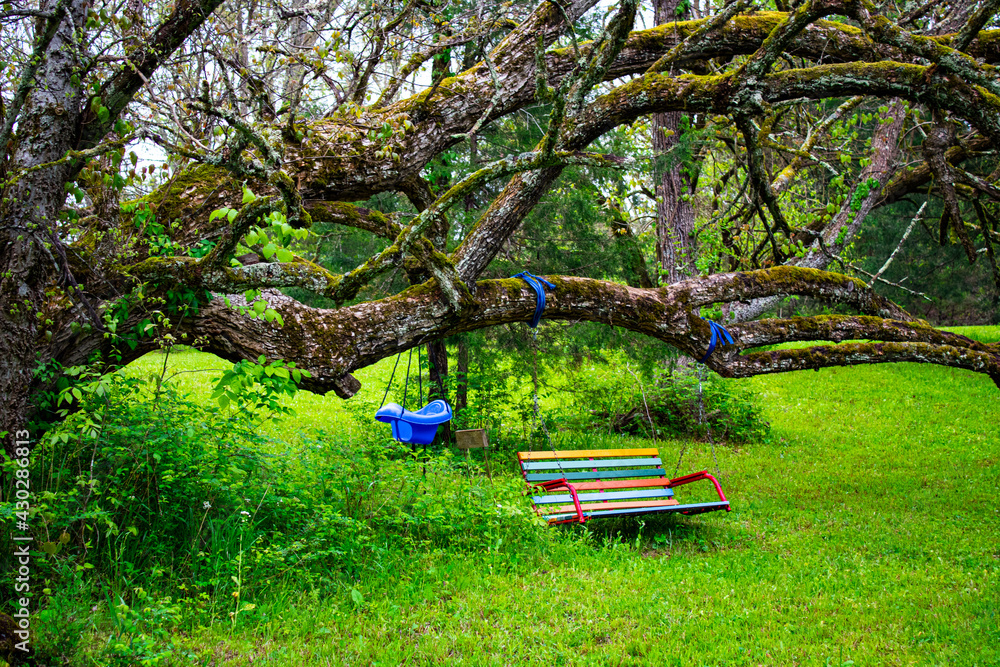 Obraz premium bench in the park