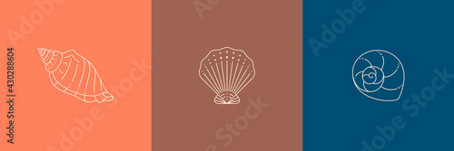 Set of Seashells Icons in a Trendy Minimal Linear Style. Vector Illustration of a Conch, Snail, Scallop and Oyster