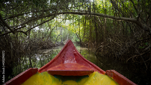 red canoe on the river of the swams in Colombia