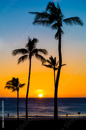 Fototapeta Naklejka Na Ścianę i Meble -  Hawaii Sunset