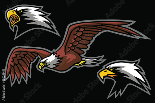 Eagle Logo Mascot Design Vector Collection Set Pack photo