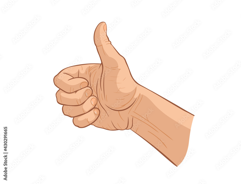 Human realistic caucasian hand shows thumb up (like). Vector illustration, isolated on a white background, EPS 10. The concept of success, approval and good evaluation. Human realistic caucasian hand shows thumb up (like). Vector illustration, isolated on a white background, EPS 10. The concept of success, approval and good evaluation.
