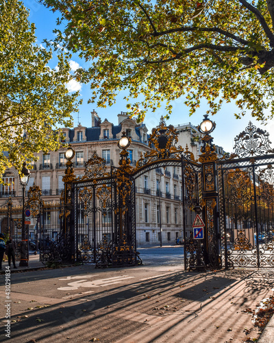 autumn in the park
