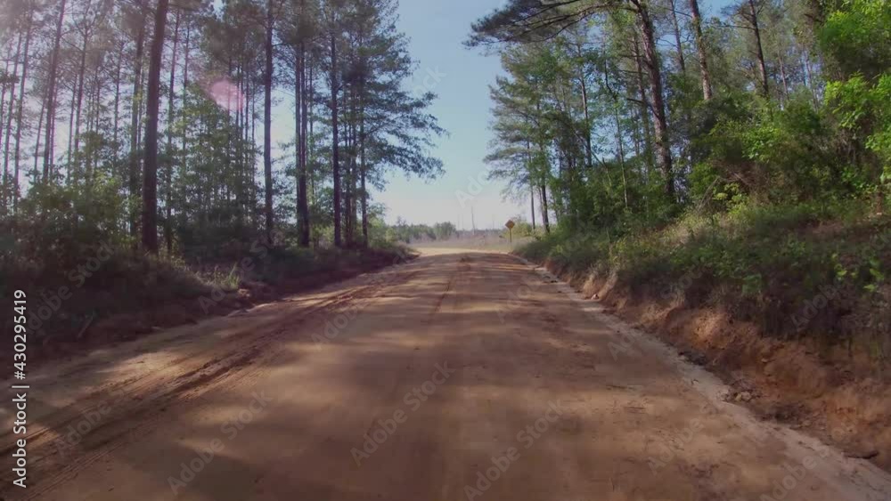 FPV driving on a rural dirt road through the forest tree harvested land FPV driving on a rural dirt road through the forest tree harvested land