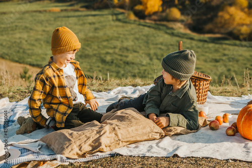 two boys on a picnic. brothers have fun, play lying on a blanket on the grass in nature. 