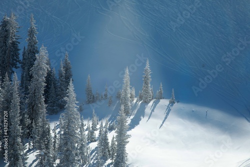 Spotlight in the snow