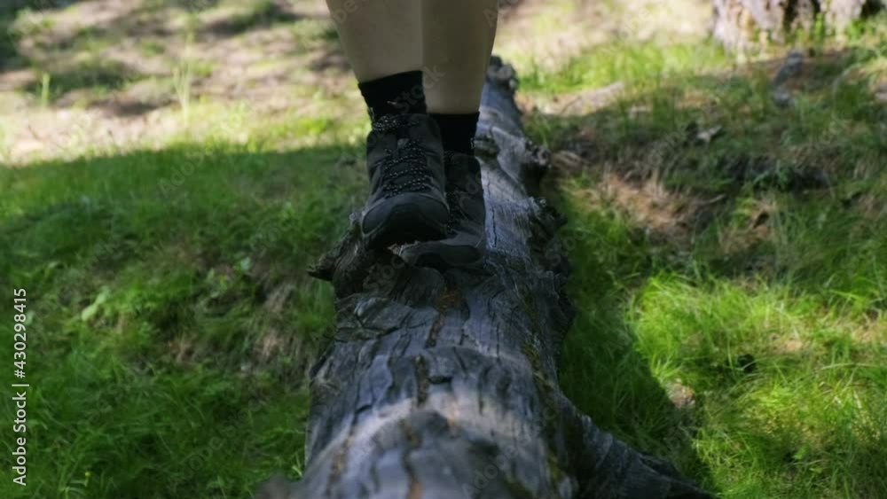 Walking along a log in the forest. Legs close up Walking along a log in the forest. Legs close up