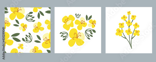 Various rapeseed flowers on a white isolated background. Yellow hand-drawn bright plants. Blooming design elements for postcards, banners. Vector illustration. Seamless pattern.