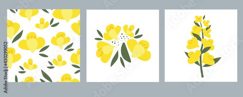 Various rapeseed flowers on a white isolated background. Yellow hand-drawn bright plants. Blooming design elements for postcards, banners. Vector illustration. Seamless pattern.