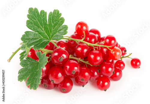 fresh ripe currant photographed closeup isolated on a white background.