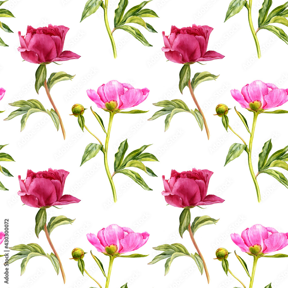 seamless pattern with watercolor drawing peony flowers