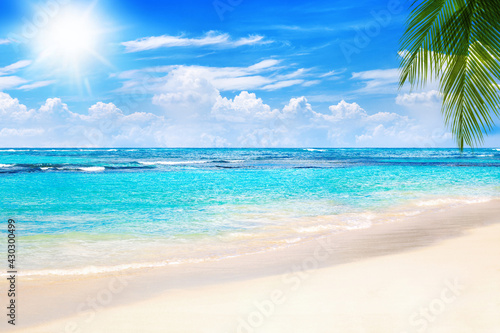 Tropical island landscape, exotic sand beach, turquoise sea water ocean waves, sun blue sky white clouds background, beautiful nature view, summer holidays, vacation, travel © Vera NewSib