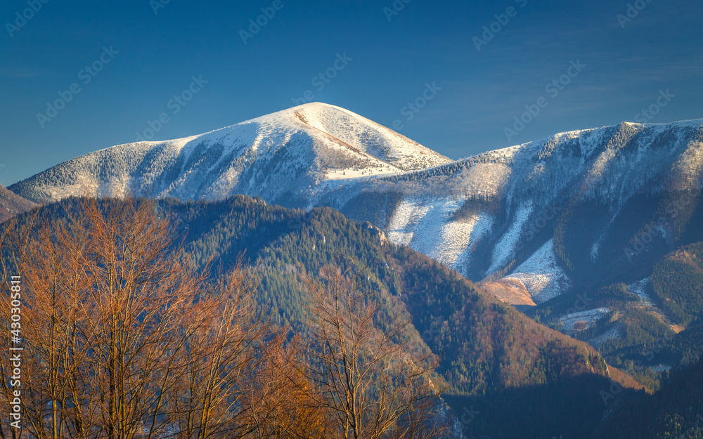 Landscape with snowy mountains in the background at the end of winter. The Mala Fatra national park, Slovakia, Europe.