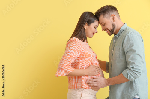 Beautiful pregnant couple o...