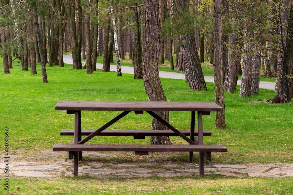 Empty bench in the spring park. The perfect place to get away from urban problems. Empty bench in the spring park. The perfect place to get away from urban problems.