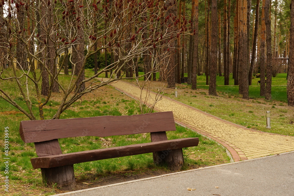 Empty bench in the spring park. The perfect place to get away from urban problems. Empty bench in the spring park. The perfect place to get away from urban problems.