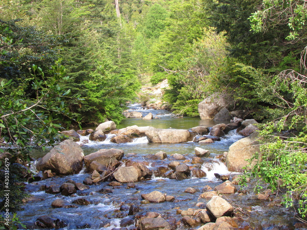 Río en parque Huerquehue, Región de la Araucanía, Chile Río en parque Huerquehue, Región de la Araucanía, Chile