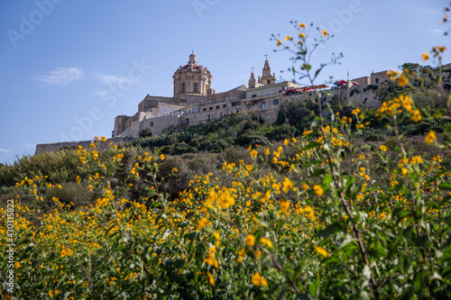 The old capital of Mdina from outside the city walls in Malta