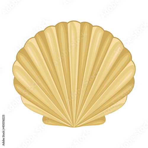 Scallop as Saltwater Clams or Marine Bivalve Mollusk Vector Illustration