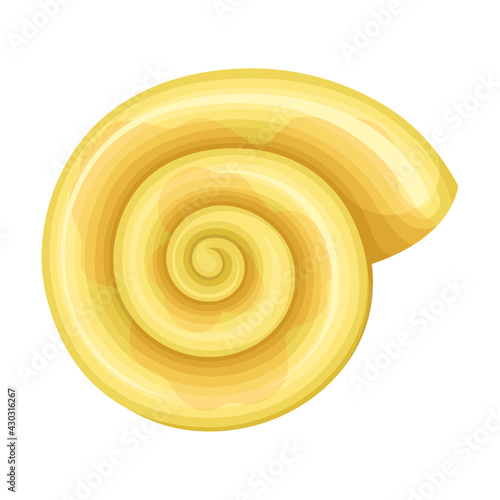 Seashell as Hard Marine Snail Shell Vector Illustration photo