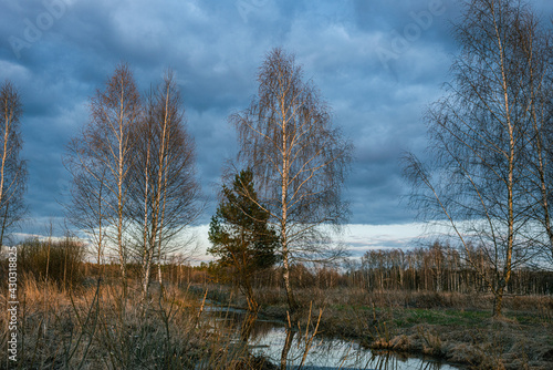 Evening spring sunset in nature