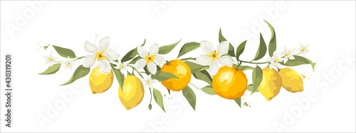 Summer card with jasmine flowers and citrus branch. Floral design elements, vector illustration, label.	