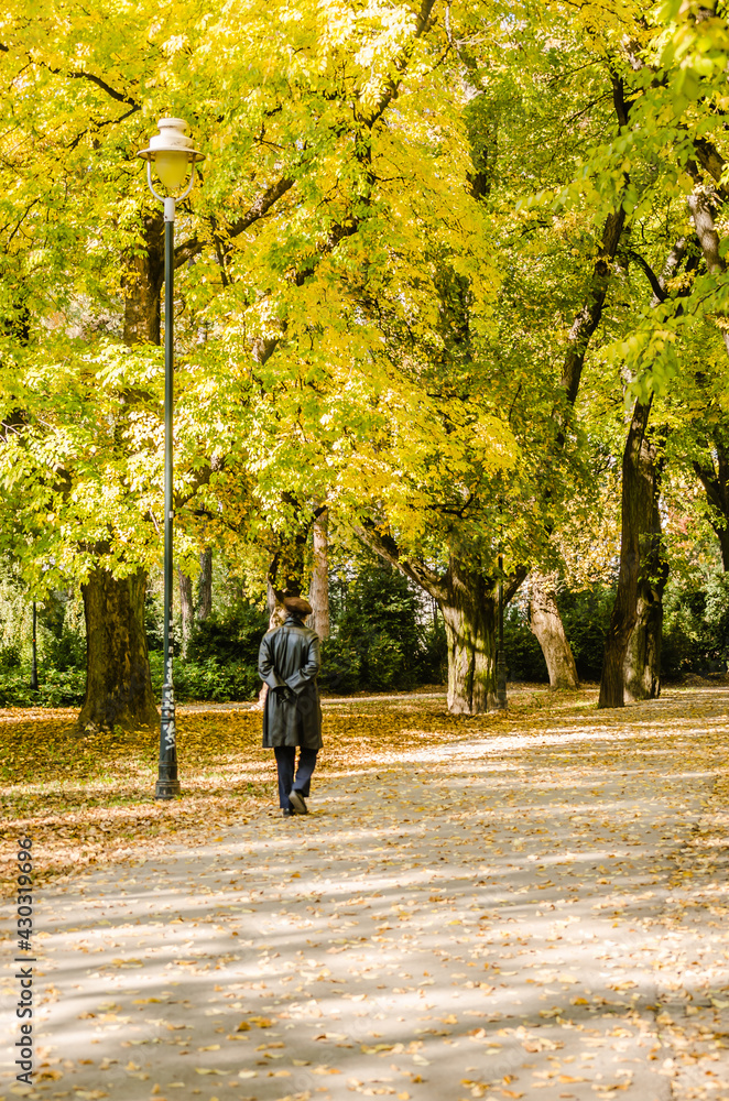 Obraz premium City park in Novi Sad in the autumn period of the year. Panorama of the City Park in Novi Sad in the autumn period of the year.