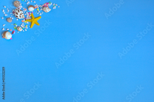 Starfish  escargots  colorful pebbles on a corner of blue background  copy space