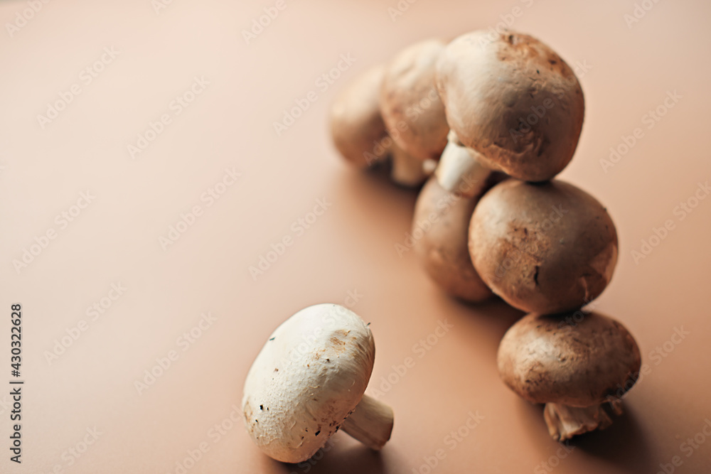 Fototapeta premium organic cultivated mushrooms. agriculture concept. fresh farm grown royal mushrooms. copy space