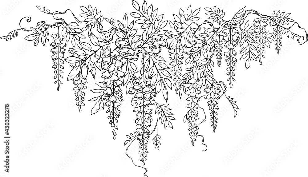 藤 線画 Stock イラスト Adobe Stock