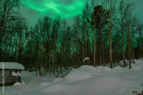 Hunting for night lights in the Arctic