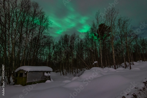 Hunting for night lights in the Arctic