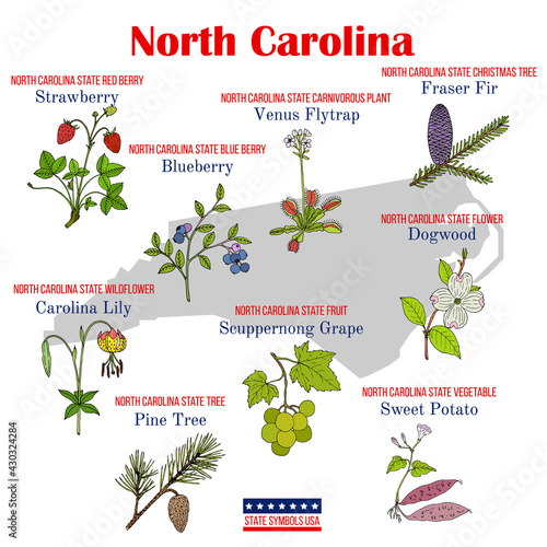 North Carolina. Set of USA official state symbols photo