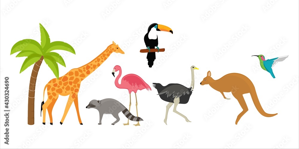 Animlas zoo vector Animlas zoo vector