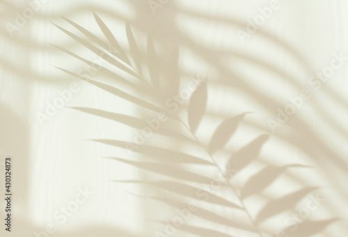 Fototapeta Naklejka Na Ścianę i Meble -  Abstract white shadow of a palm leaf on a white wall. Background with empty copy space for your design. Monochrome and minimalistic background with sunlight
