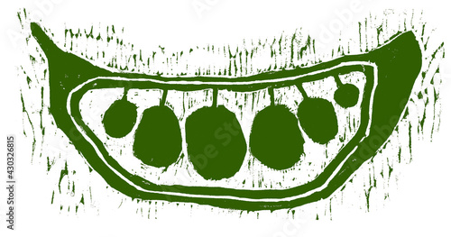 Wood cut print of green peas in a pod