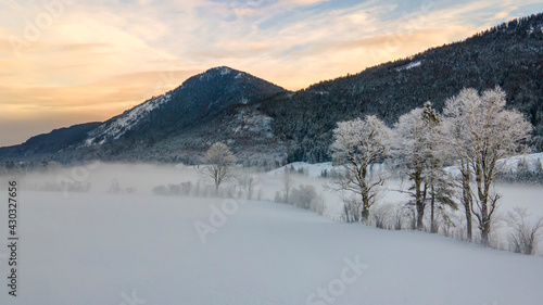 White frozen trees in Jachenau, Bavaria.