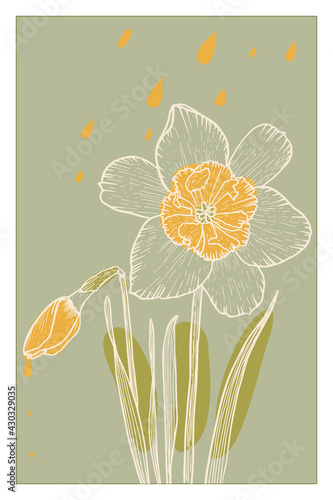 Abstract line art of daffodil flower with color splats. Daffodil contour drawing. Minimal flower illustration.