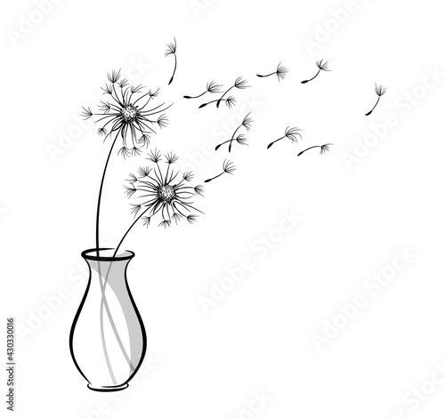 The Dandelion bouquet in vase with flying seeds.