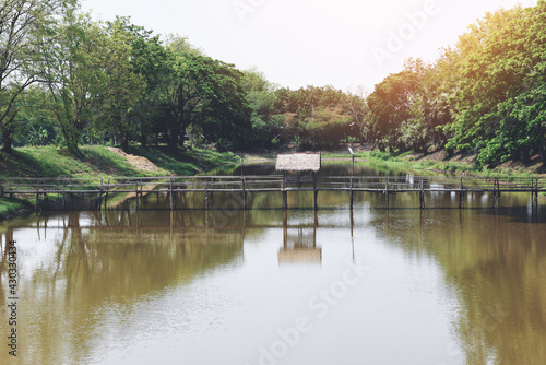 Green park with tree and sunlight in the summer landscape river with wooden bridge, Quiet river nature countryside Asian