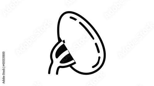 Spleen healthy person icon animation outline best object on white background photo