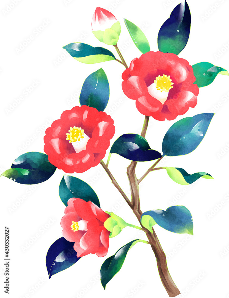 椿 イラスト Stock Illustration Adobe Stock